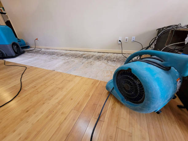 Professional Burst Pipe Water Damage technician working in Banks, OR